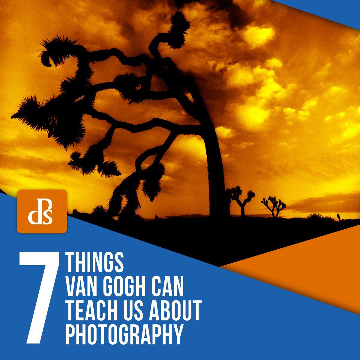 7 Things Van Gogh Can Teach Us About Photography